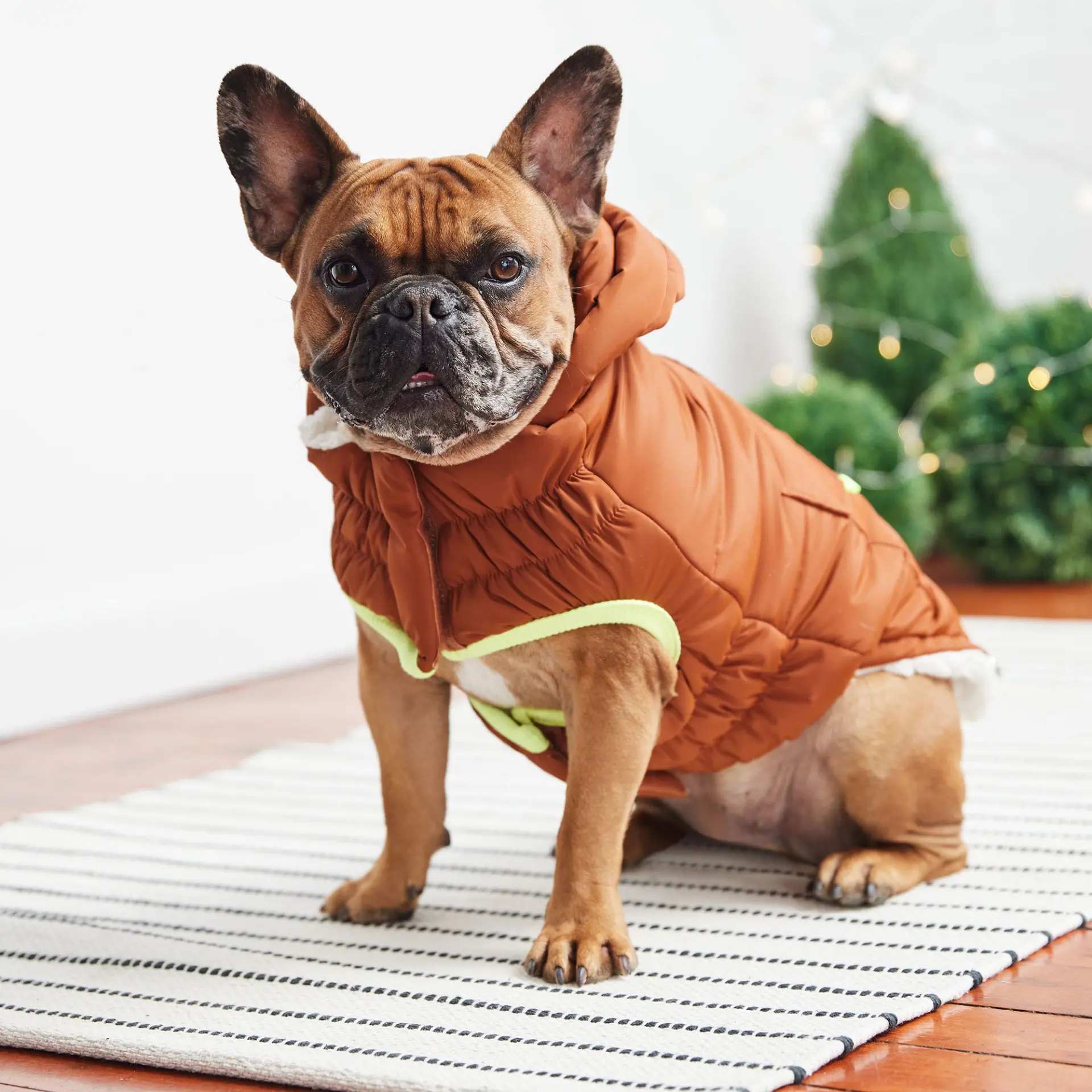 GF PET Elasto-FIT Puff Parka - Hazel Brown - Image 4