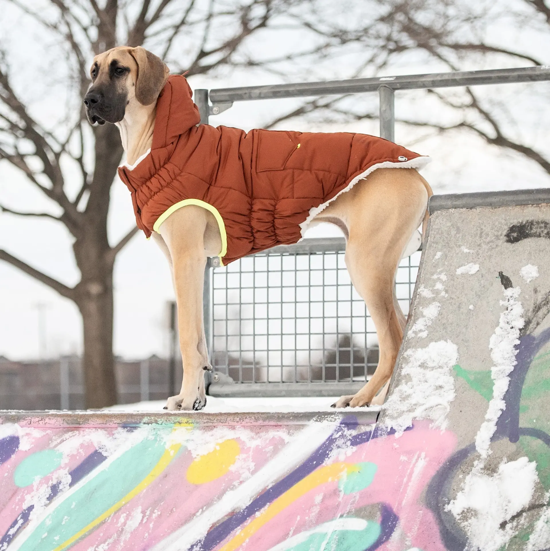 GF PET Elasto-FIT Puff Parka - Hazel Brown - Image 5