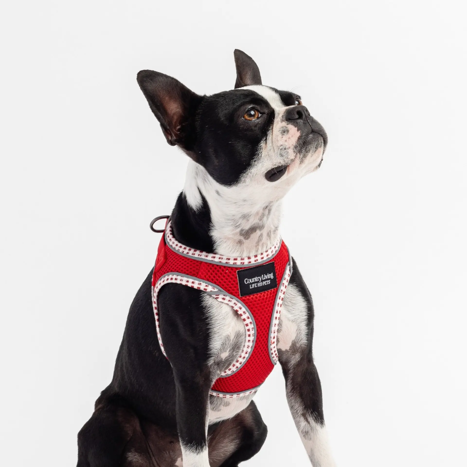 Easy Step-In Dog Harness - Red - Image 2