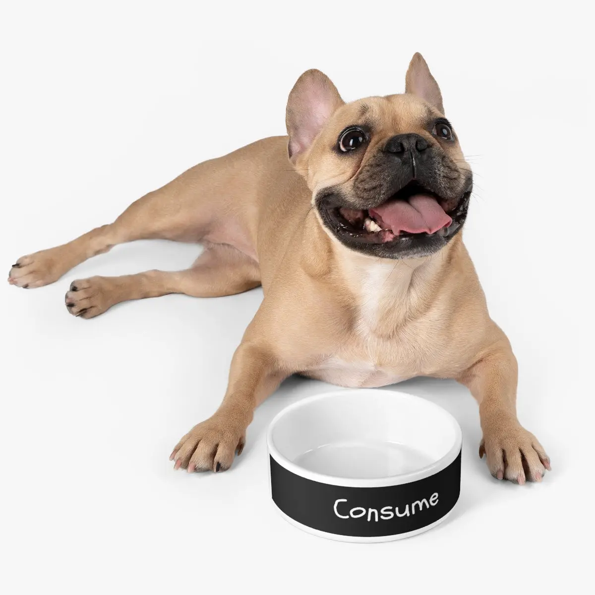 Customizable Ceramic Pet Bowl - Image 6