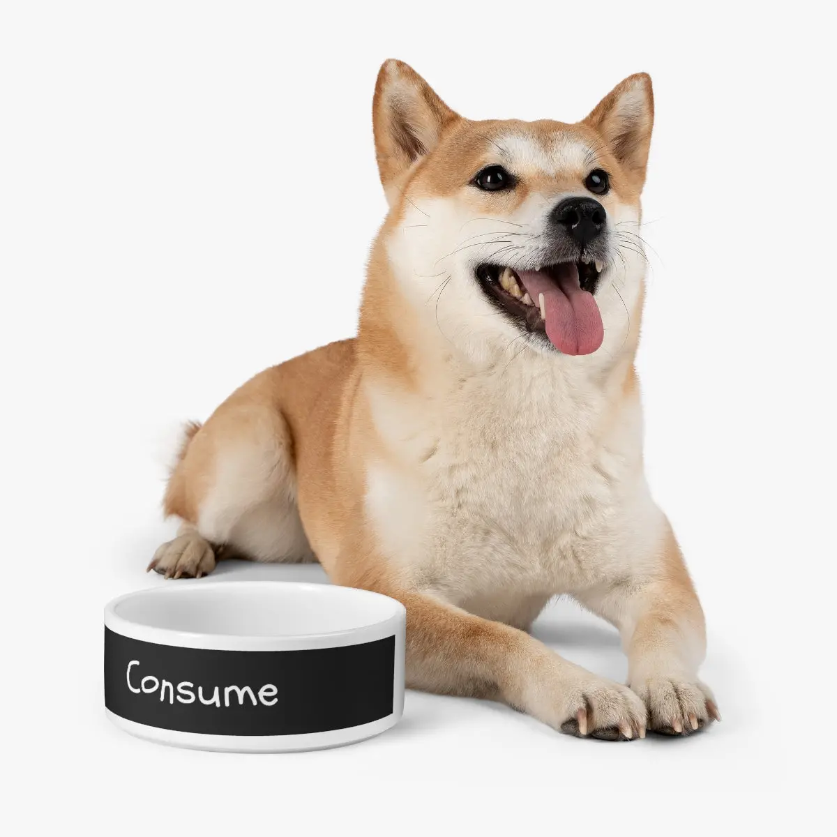 Customizable Ceramic Pet Bowl - Image 7