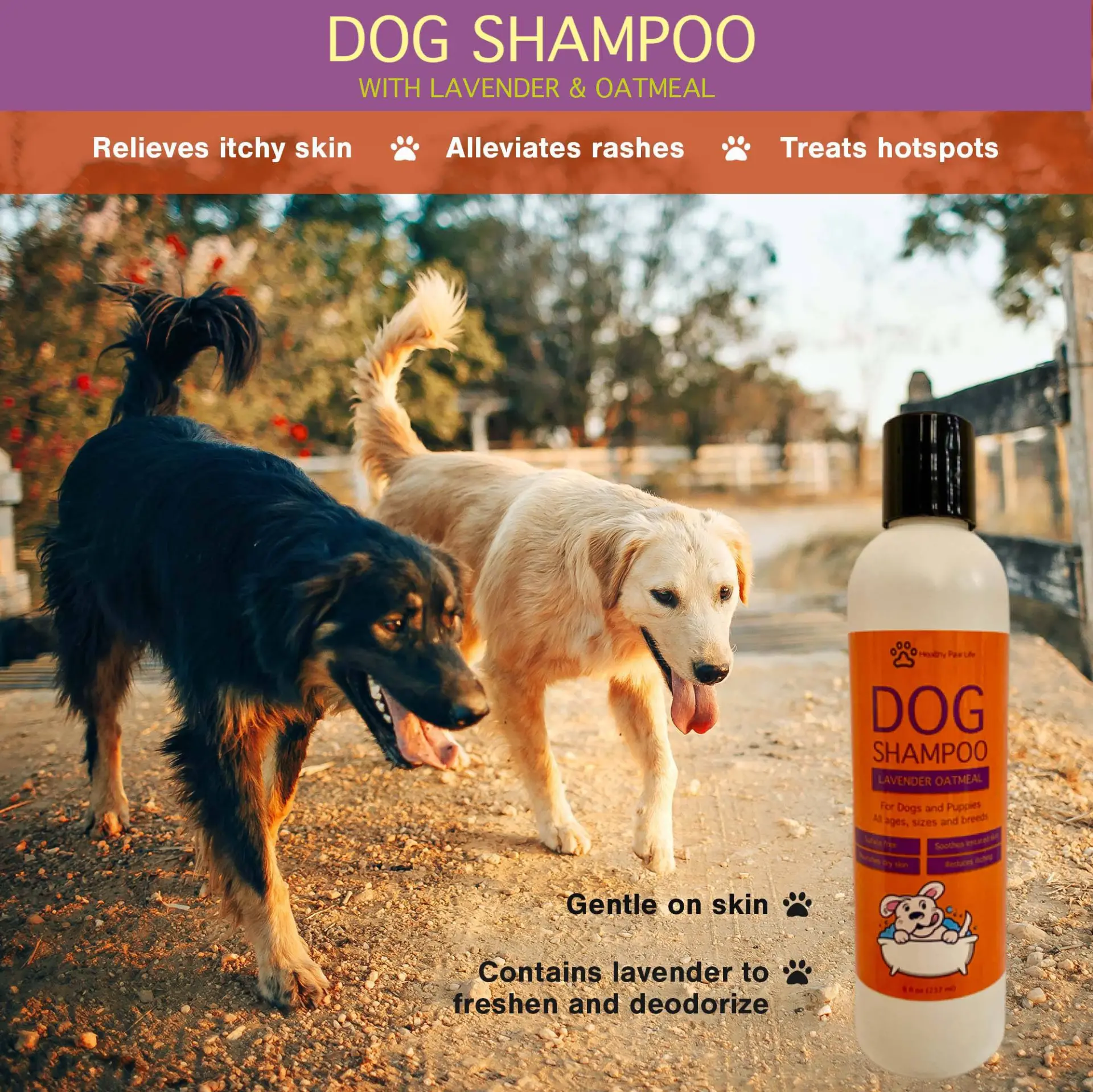 Pet Shampoo - Oatmeal Lavender - Image 2