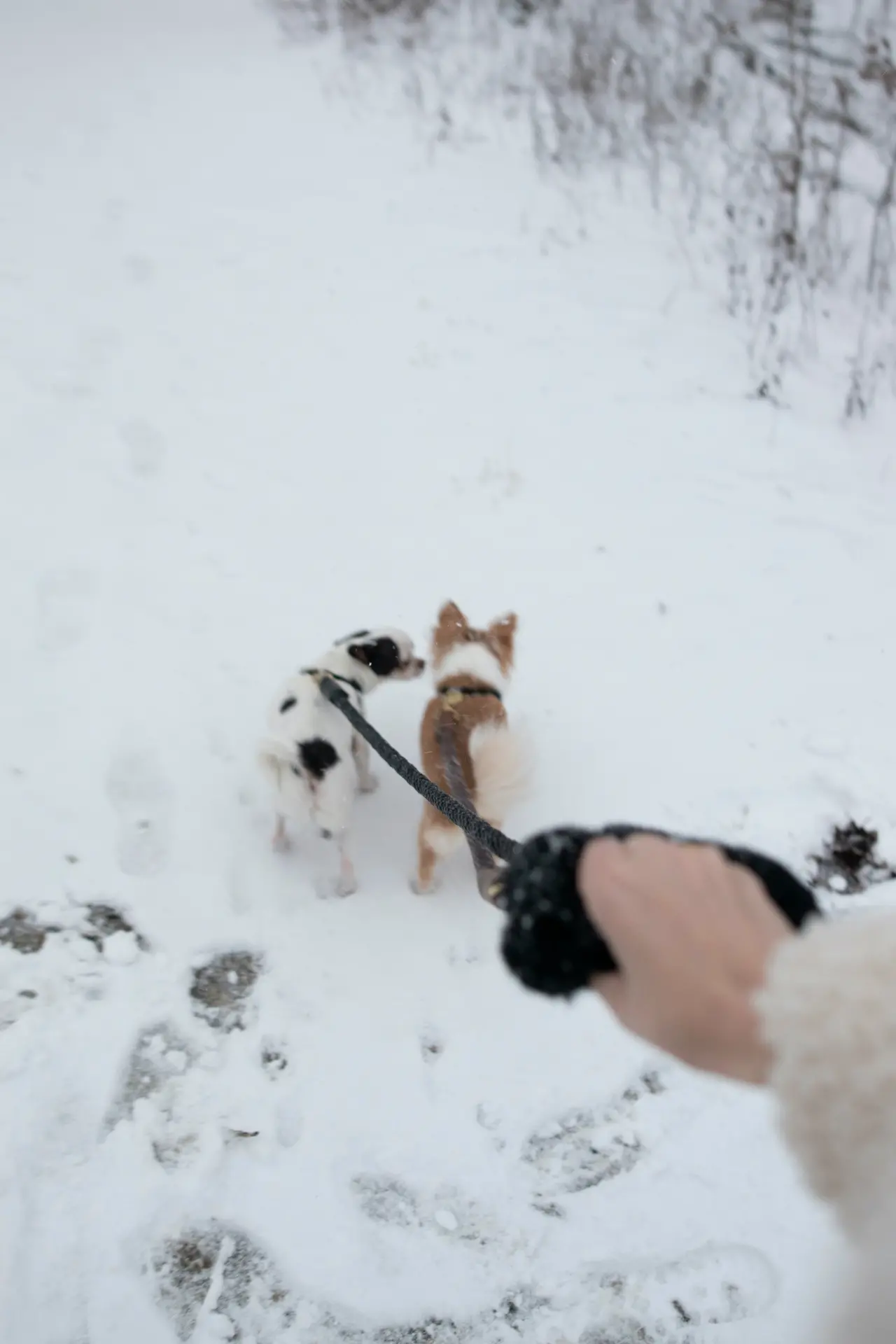 Standalone Shearling Fur Grip - Image 22