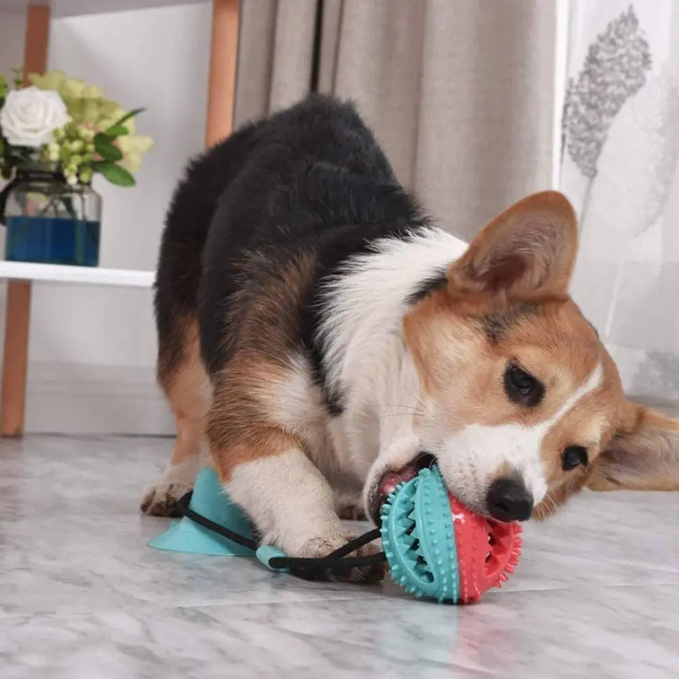 Treat Dispensing Dog Tug Toy - Image 3