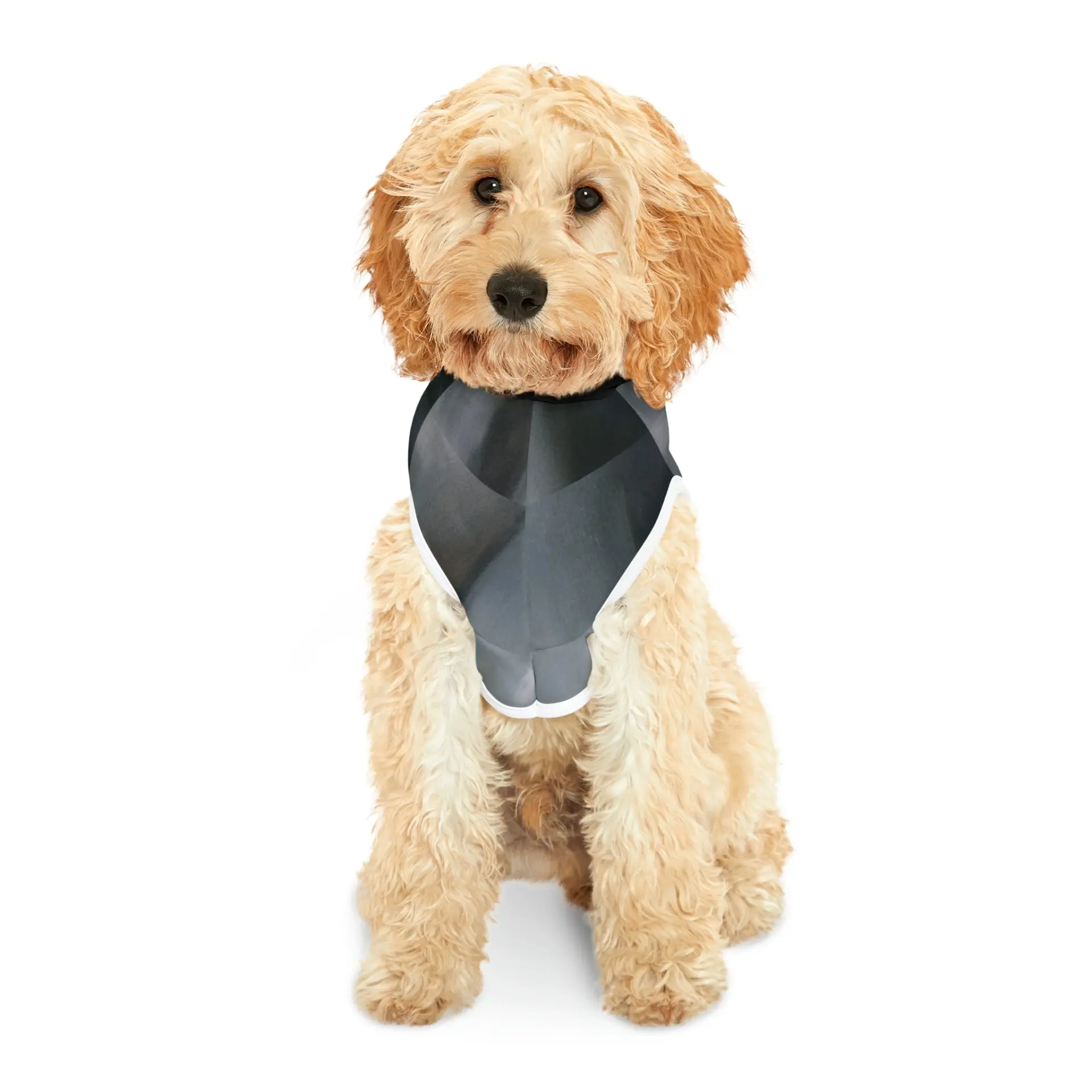 The Alien Pet Hoodie - Image 4