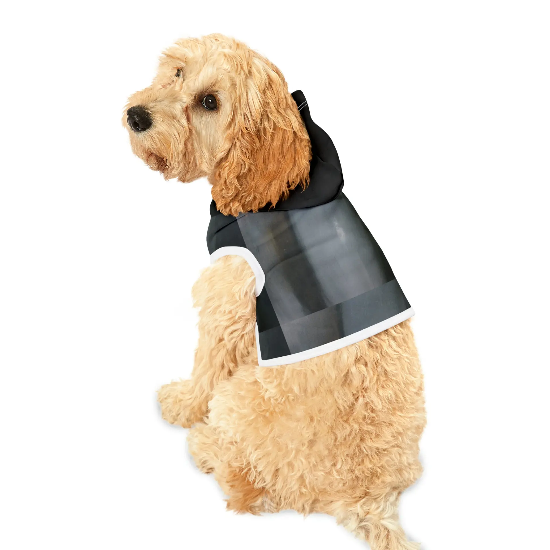 The Alien Pet Hoodie - Image 3