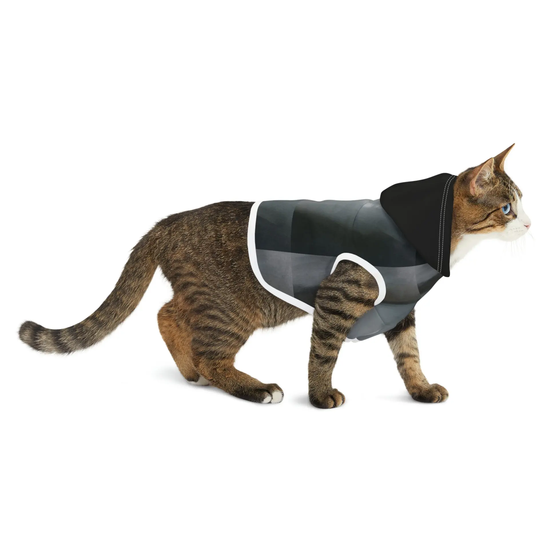 The Alien Pet Hoodie - Image 6