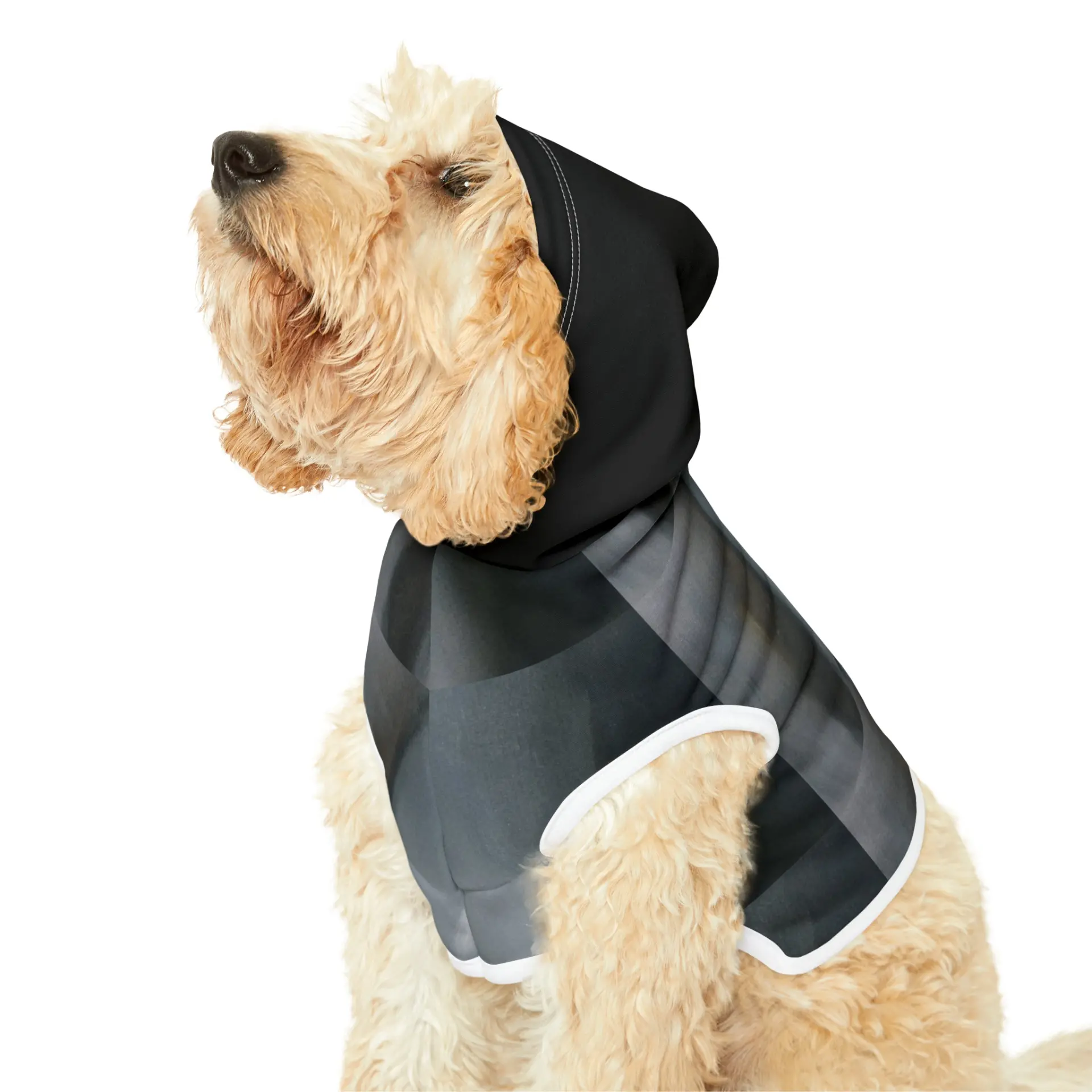 The Alien Pet Hoodie - Image 5