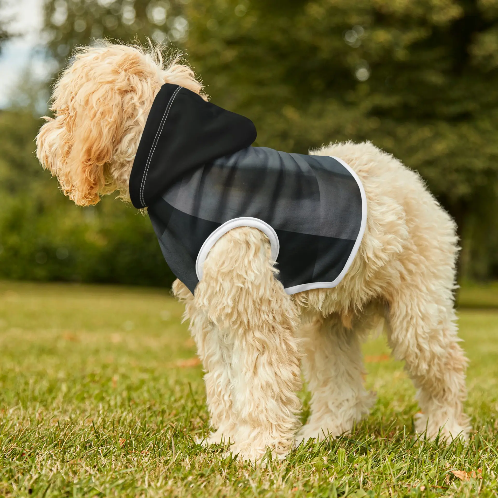 The Alien Pet Hoodie
