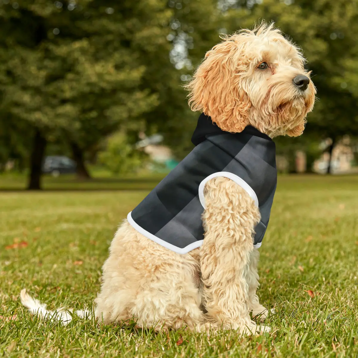 The Alien Pet Hoodie - Image 2