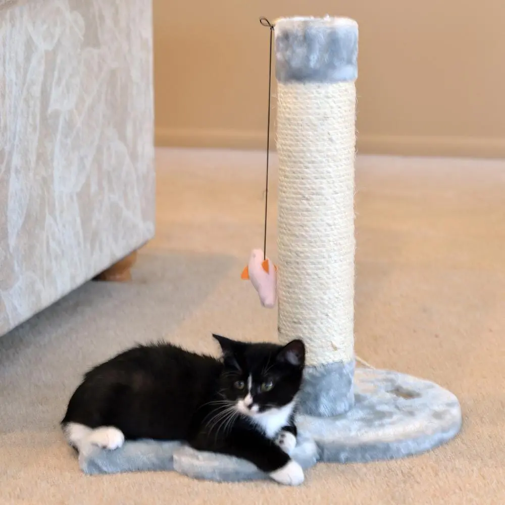 Armarkat Mouse Shape Real Wood Cat Scratcher Toy, Sisal Scratching Post For Kitty TraInIng - Image 3