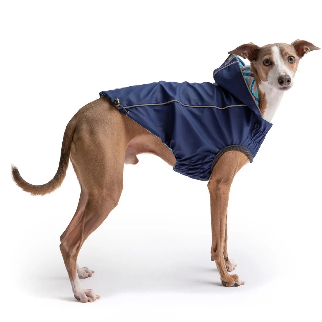 Reversible Dog Raincoat with Hood - Navy - Image 2