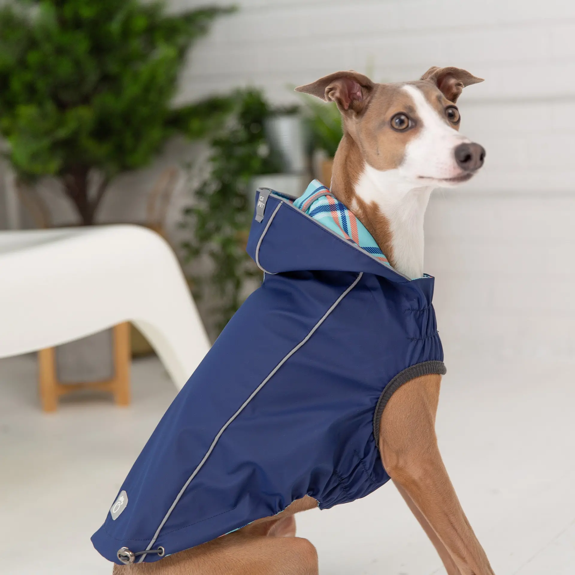 Reversible Dog Raincoat with Hood - Navy - Image 5