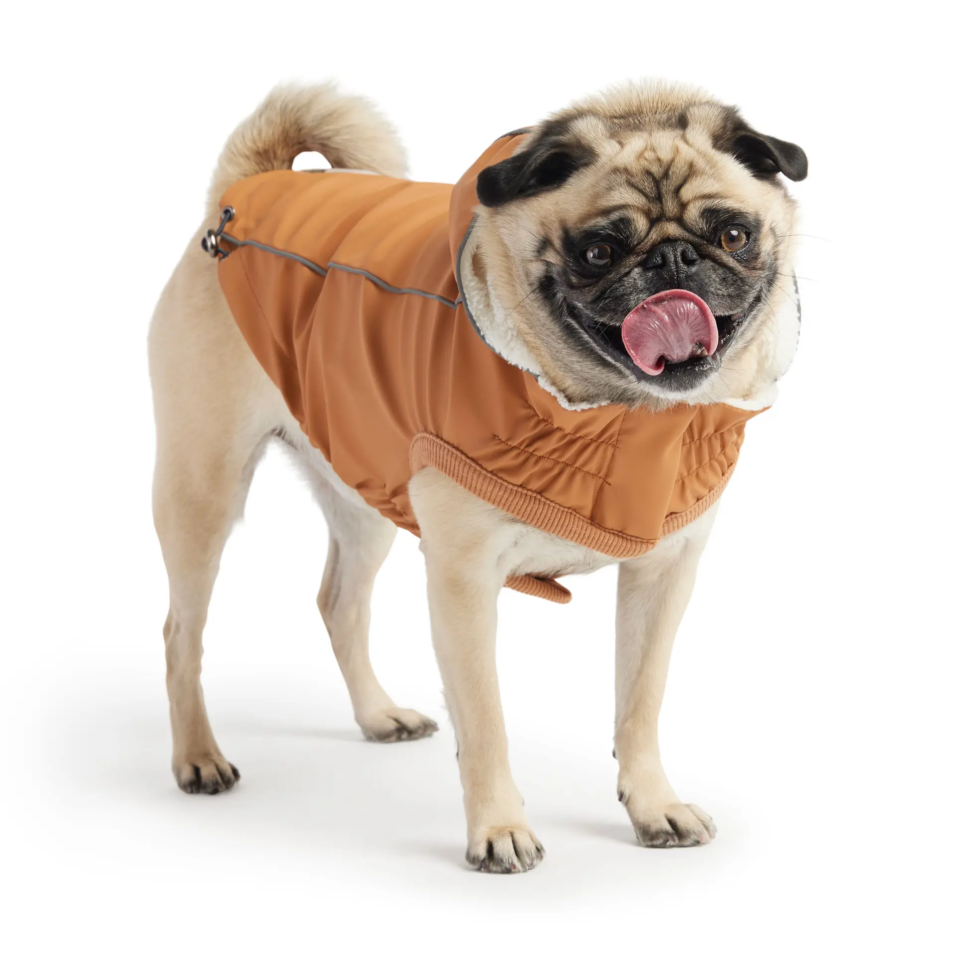 Insulated Dog Raincoat - Hazel - Image 2