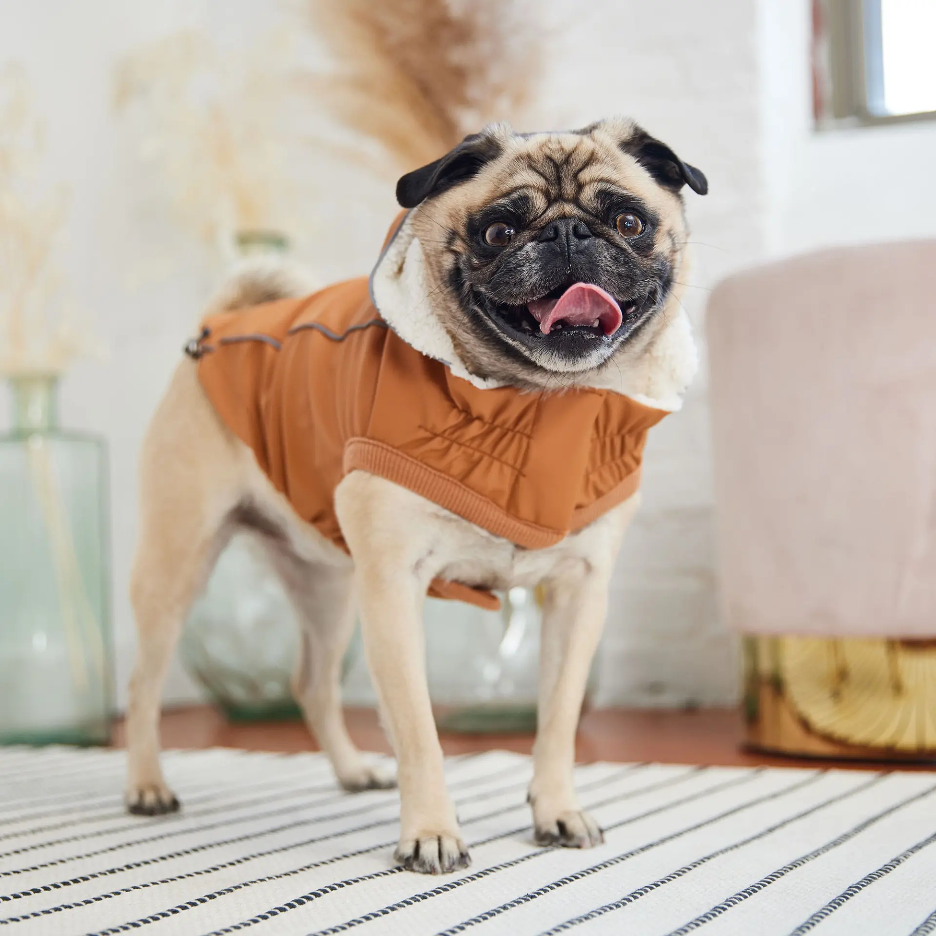 Insulated Dog Raincoat - Hazel - Image 4