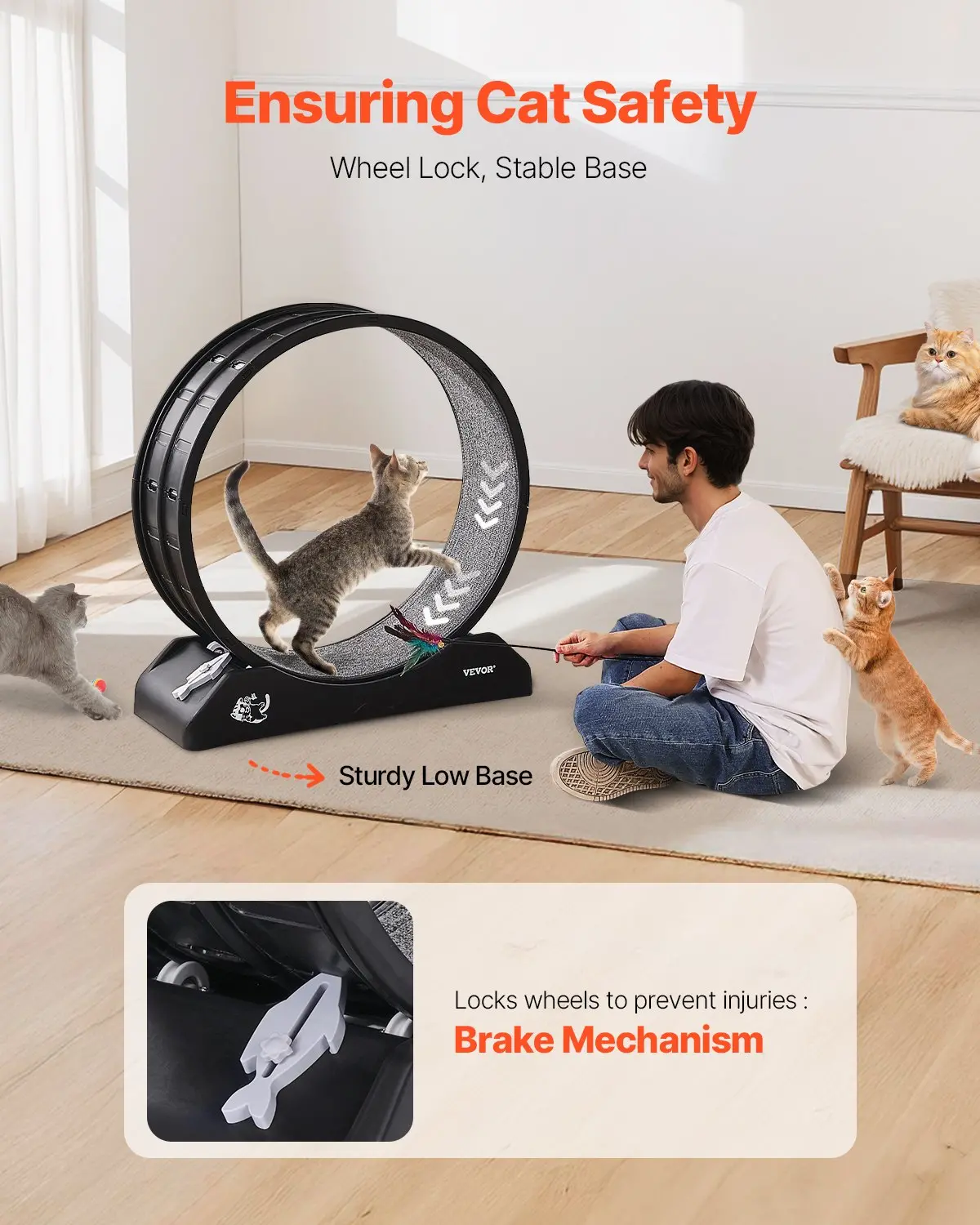 Cat Exercise Wheel 31.5 in - Black