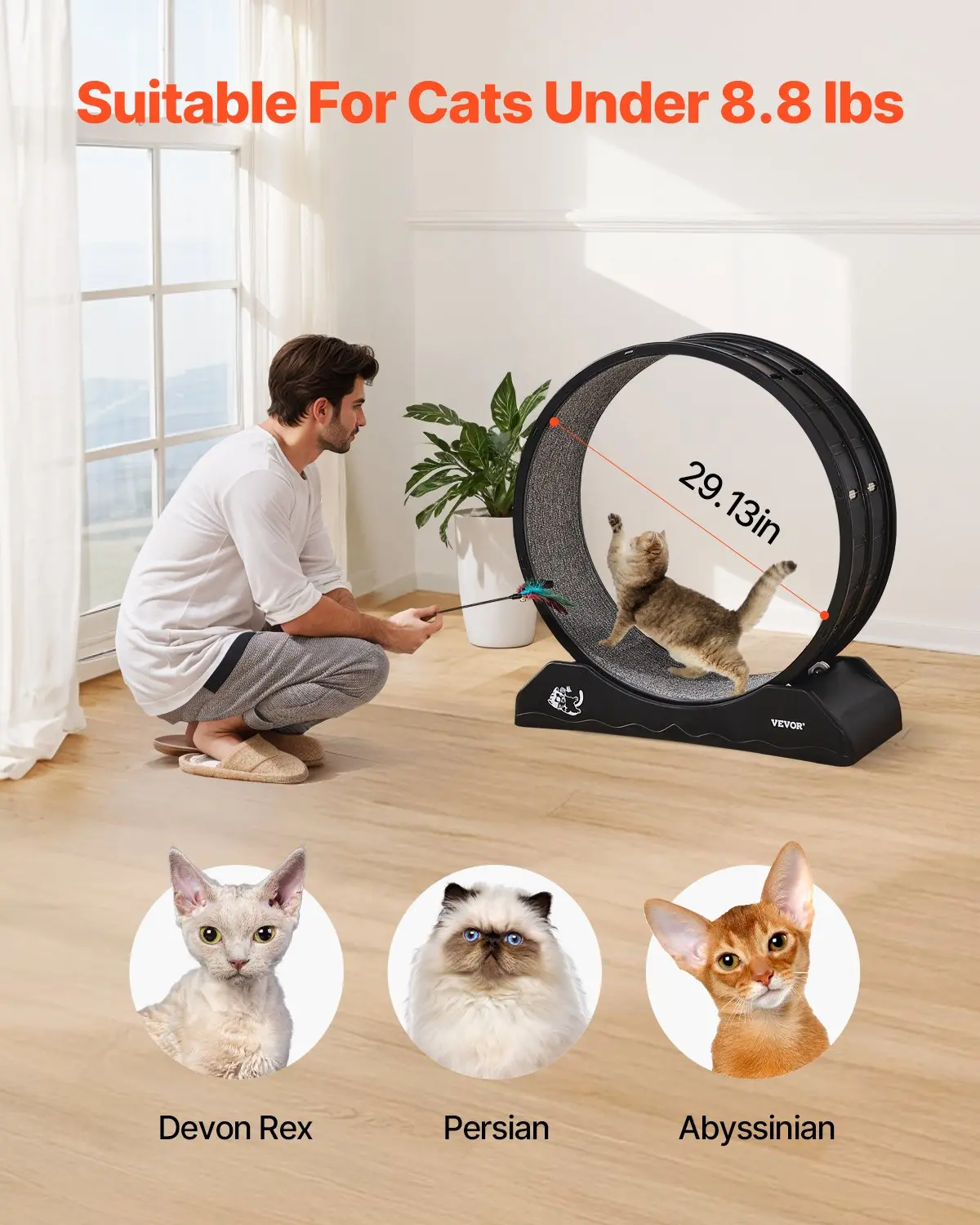 Cat Exercise Wheel 31.5 in - Black - Image 3