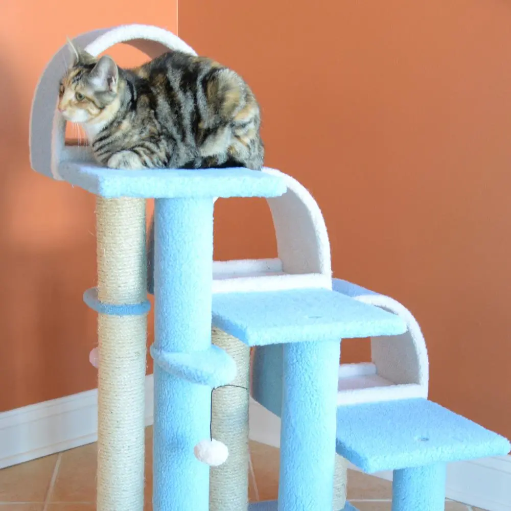 Wood Cat Step / Stairs / Ramp