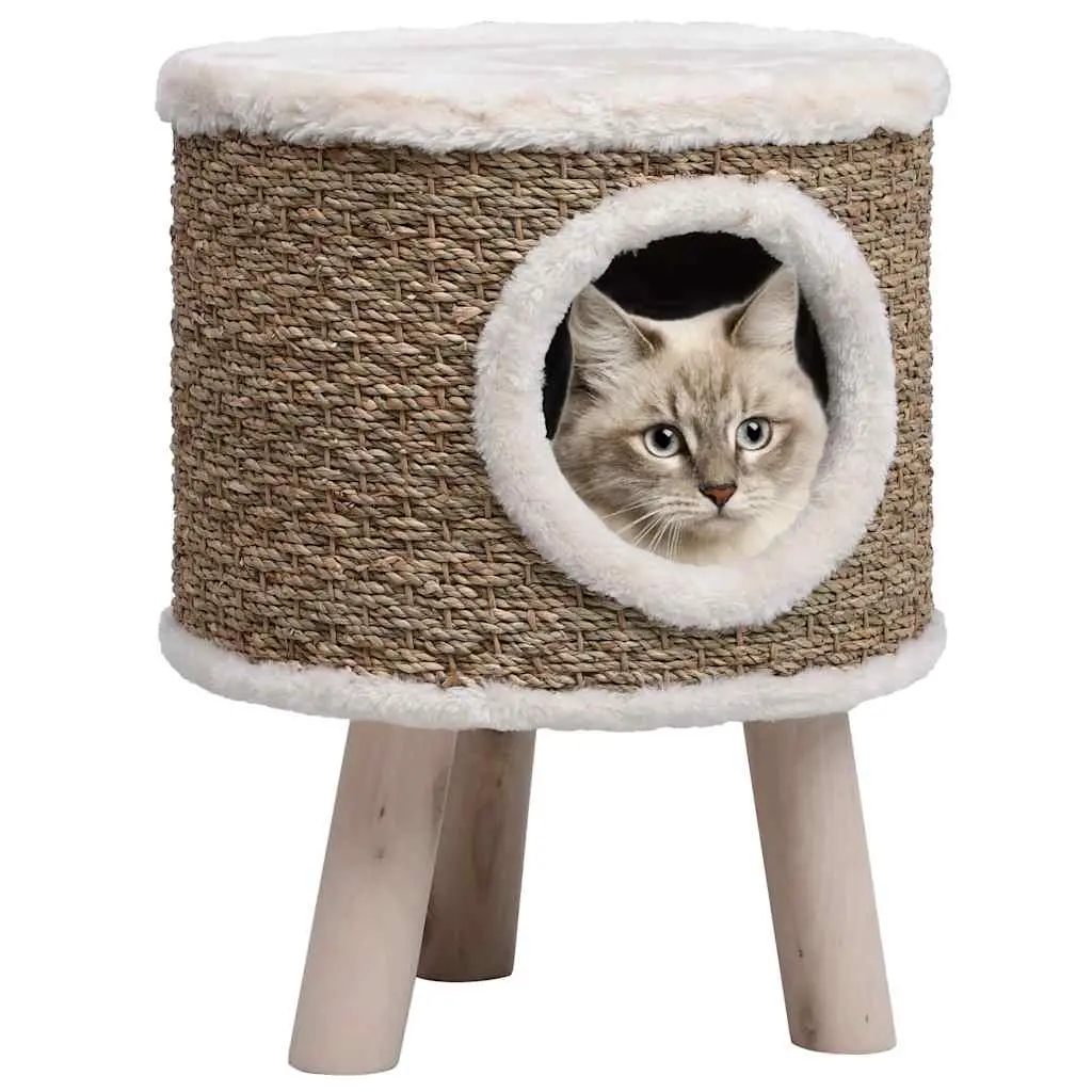 Seagrass and Plush Cat House