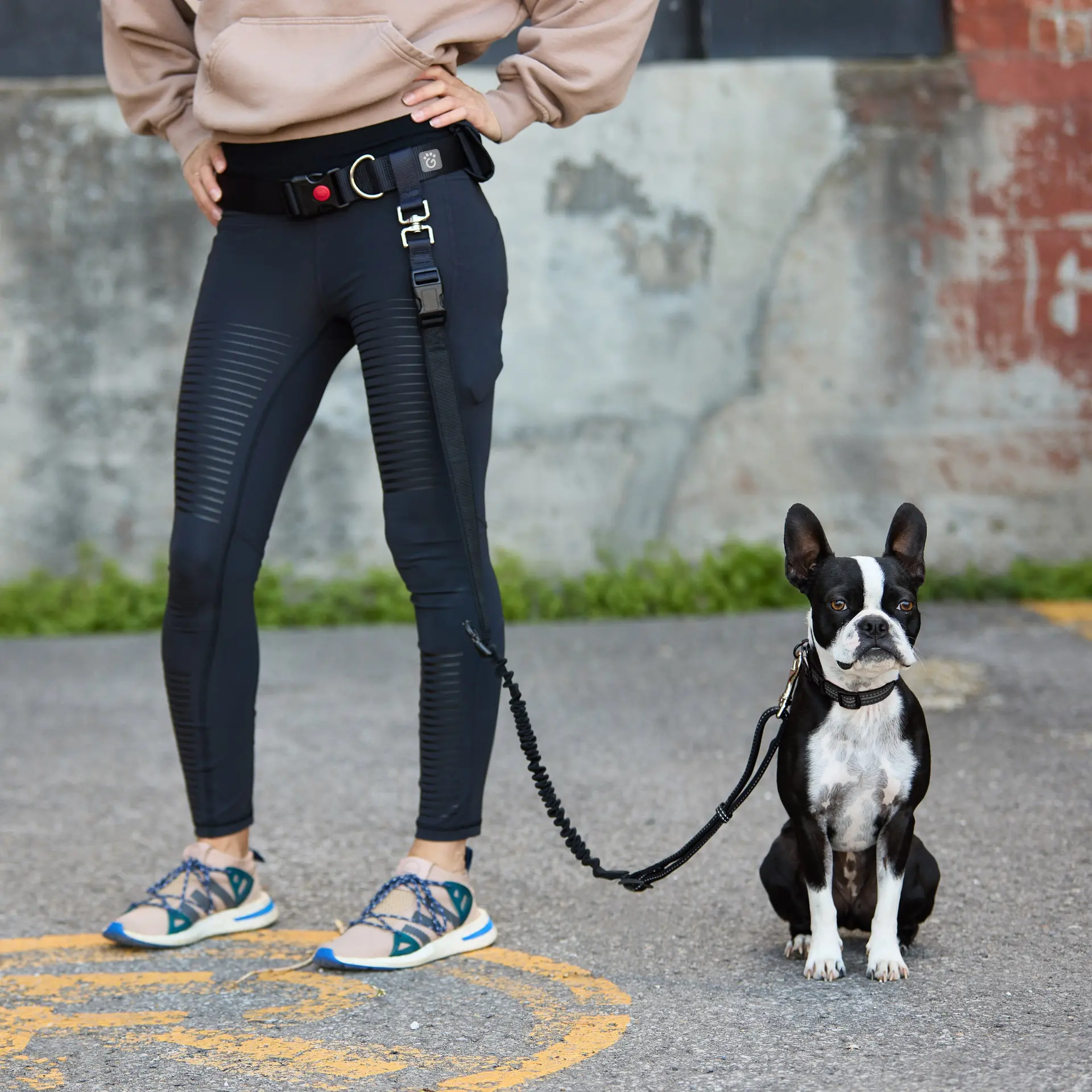 Waist Belt and Bungee Leash - Image 2