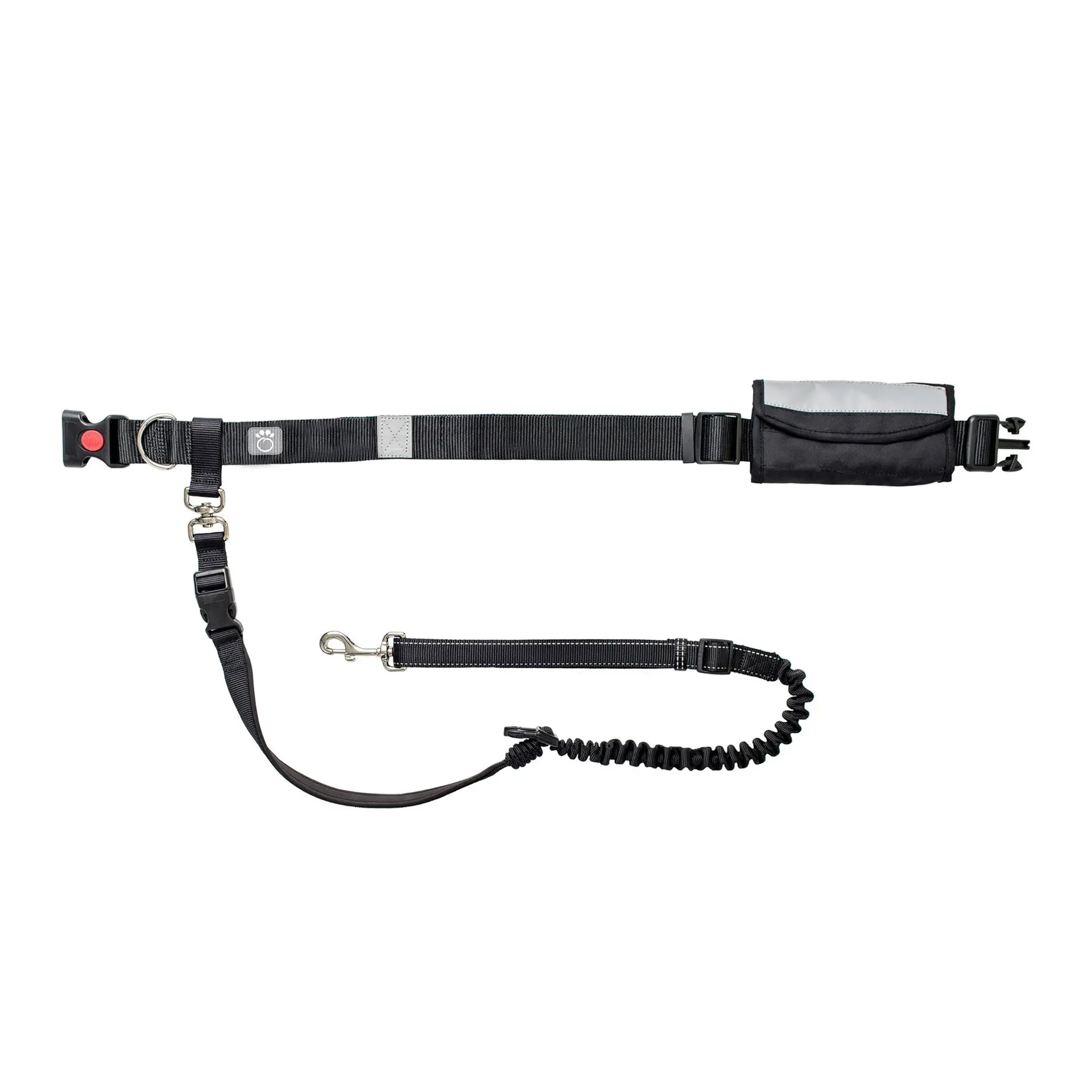 Waist Belt and Bungee Leash